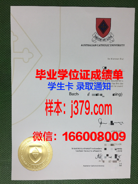 南大河州天主教大学毕业证好找工作吗(天主教大学生)