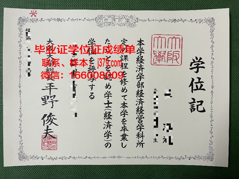 大阪综合设计专门学校毕业证成绩单：展现学子才华的画卷