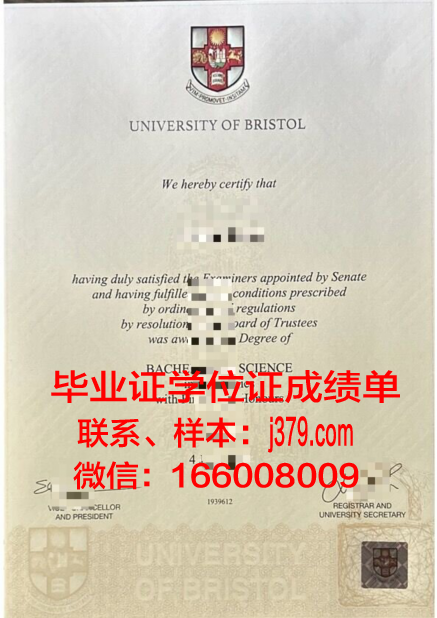 南布列塔尼大学毕业证邮寄(布里斯托大学毕业证)