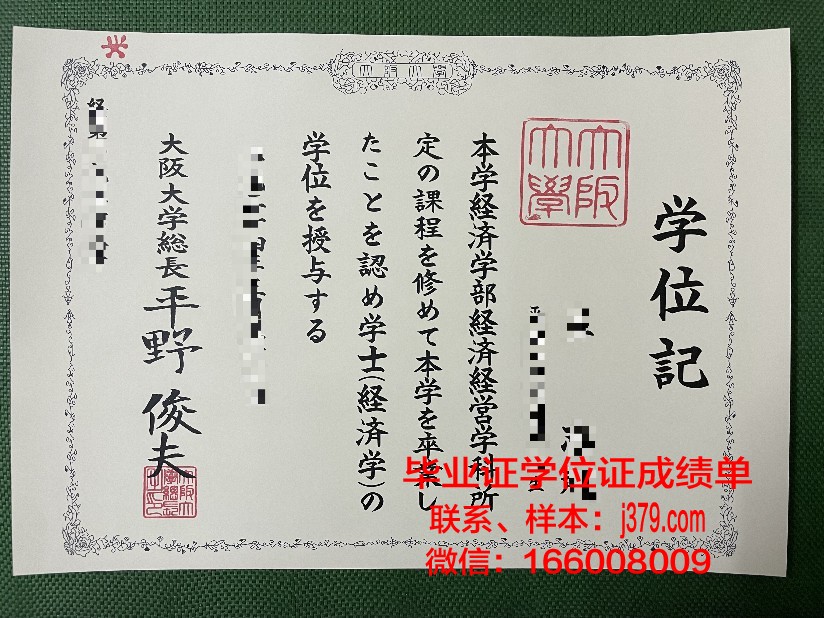 大阪大学成绩单：一份国际知名学府的学术见证