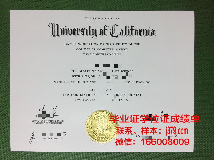 大学没有拿到毕业证怎么办(大学没拿到毕业证是不是白读了)