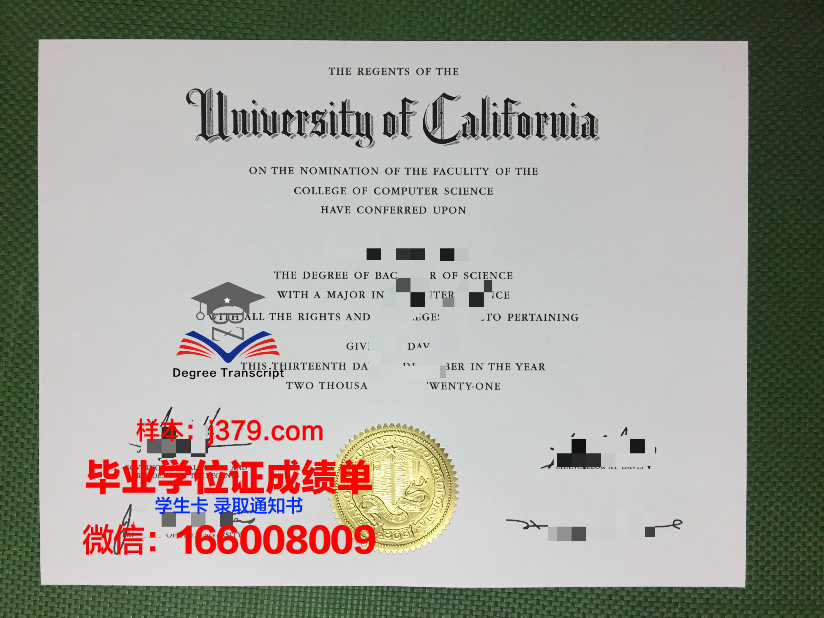 奈耶诺德大学毕业证图片