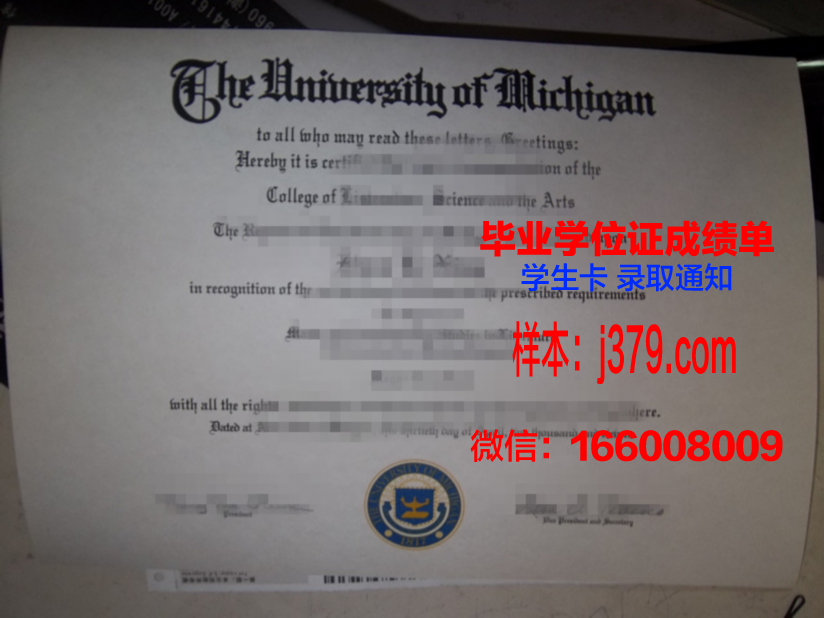 大学生毕业证电子版(大学毕业证下载)