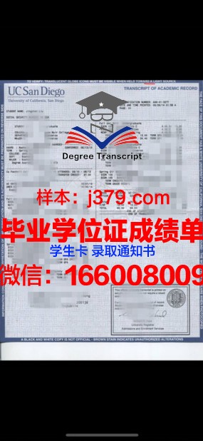 大师成绩单：见证成长与收获的印记