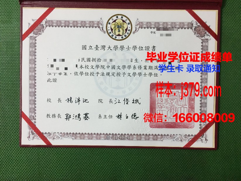 陶里亚蒂国立大学硕士毕业证书：开启未来职业新篇章的钥匙