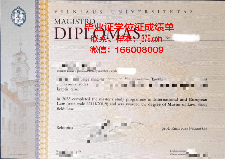 维尔纽斯艺术学院读多久才毕业证(维尔纽斯市)