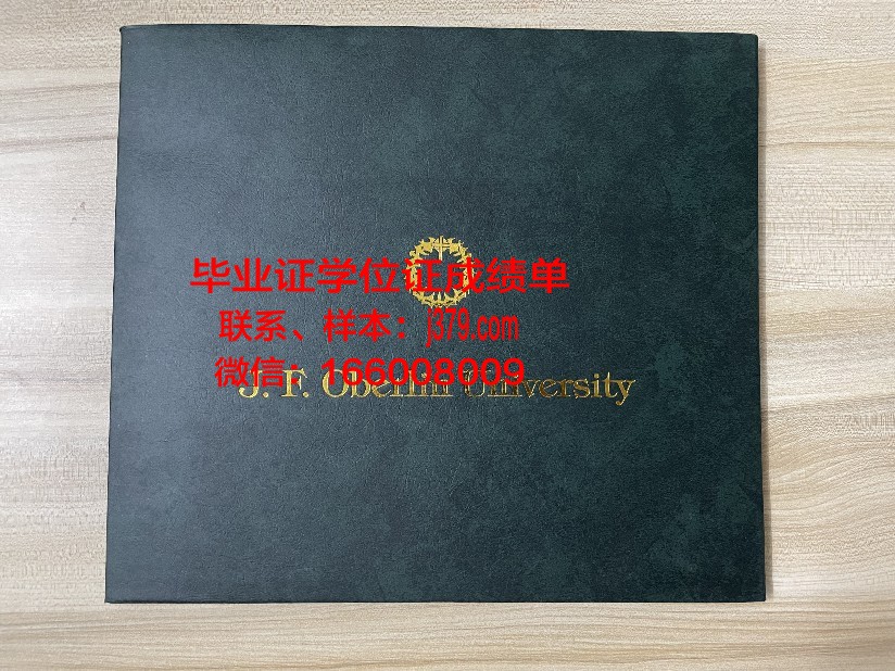 雷根斯堡大学毕业学位