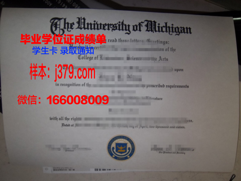 雅尔穆克大学硕士毕业证：跨越国界的学术成就