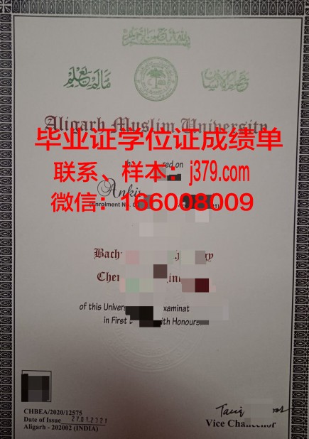 阿里格尔穆斯林大学毕业证成绩单