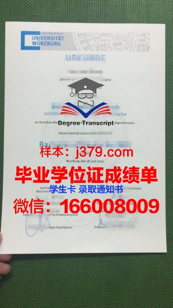 维尔茨堡大学毕业证书图片模板(维尔茨堡大学相当于国内什么大学)