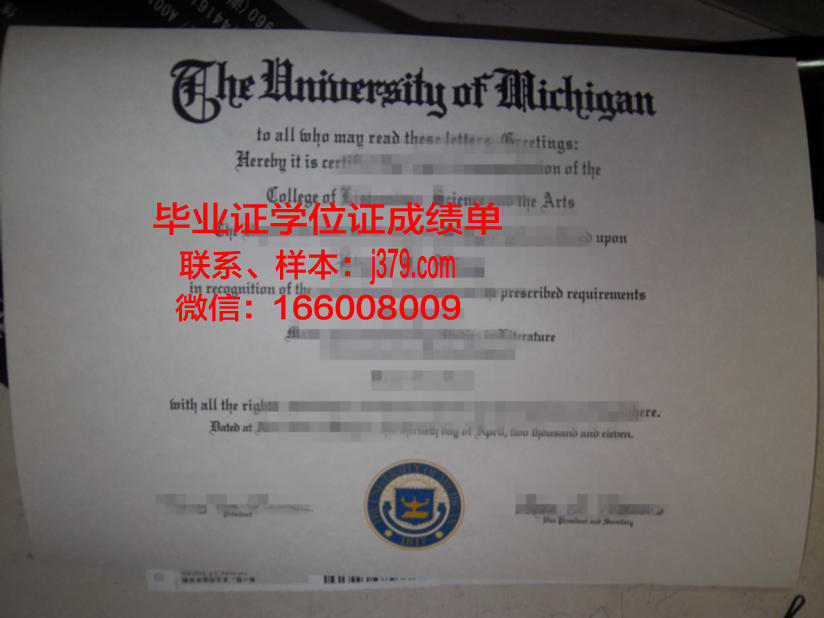 雷恩第一大学毕业证外壳(第一张毕业证书)