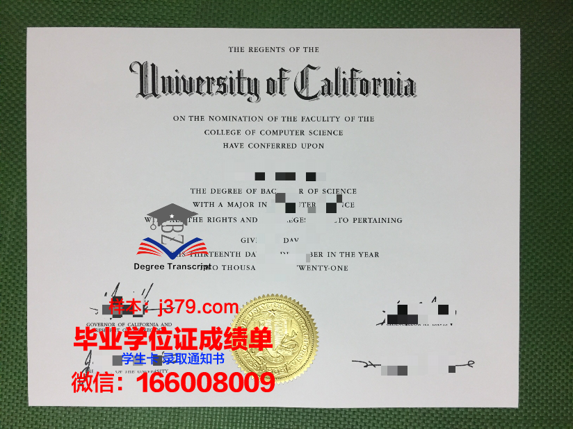 雷恩第一大学毕业证外壳(第一张毕业证书)