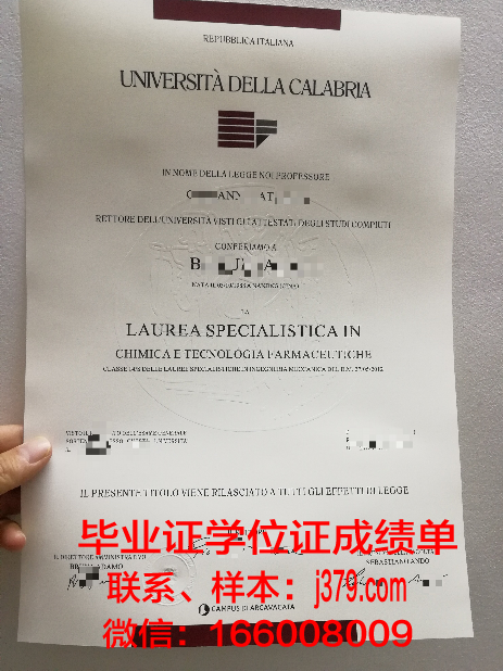 雷焦卡拉布里亚美术学院硕士毕业证书样本
