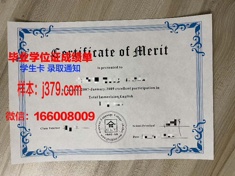 维斯瓦学院diploma证书(维斯瓦河)