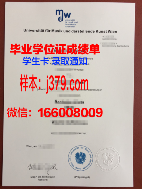 维也纳科技大学毕业证书图片高清(维也纳学院落榜生)