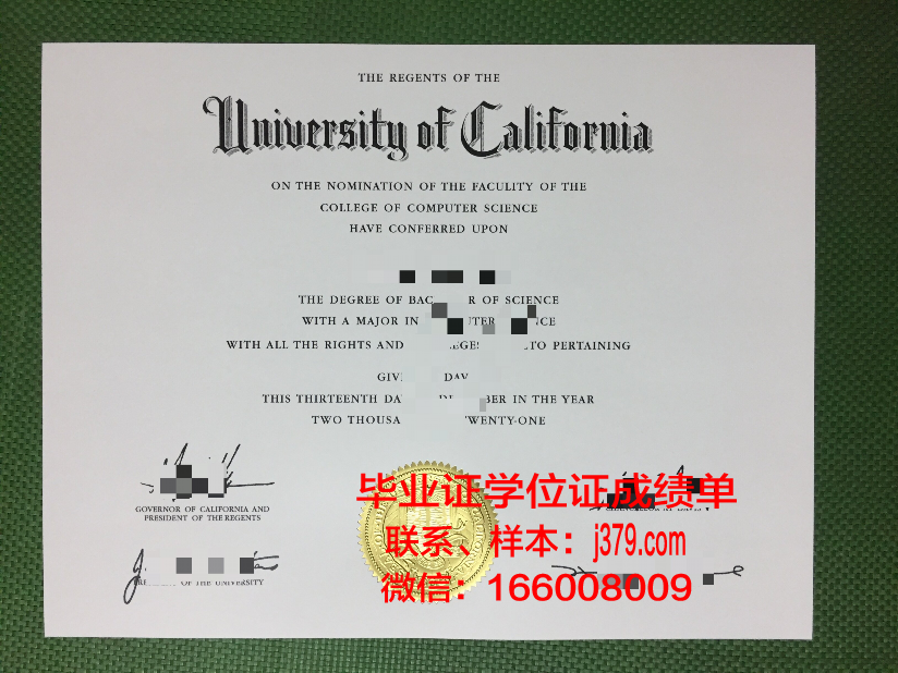 维斯瓦学院毕业证什么样子(维斯瓦大学)