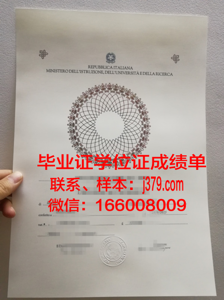 维罗纳美术学院成绩单：探索艺术之城的学术瑰宝