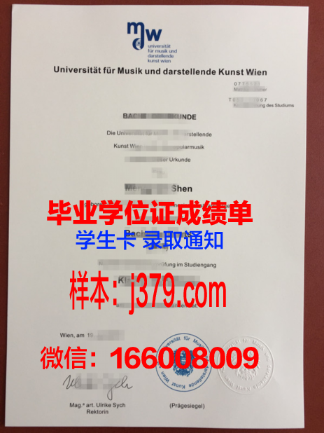 维也纳造型艺术学院毕业证案例(维也纳艺术学院负全责)