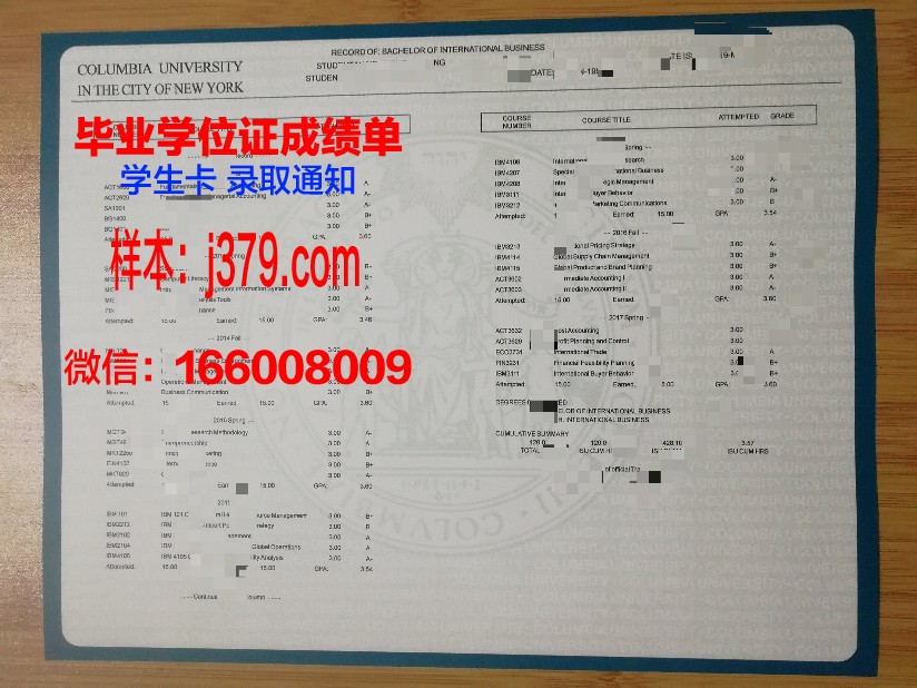 维斯大成绩单：揭示职场成长之路