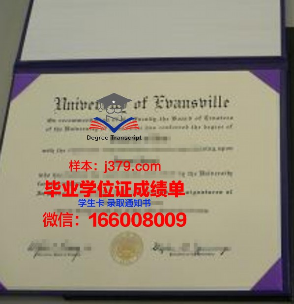 维纳斯成绩单：探索艺术与人生的完美结合