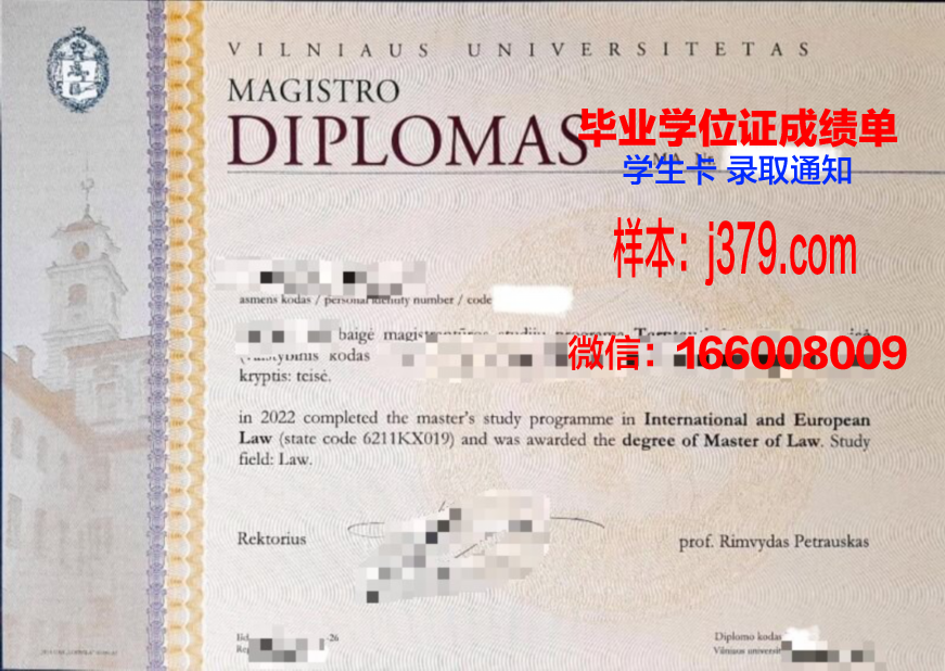 维尔纽斯师范大学硕士毕业证：跨越国界的学术荣耀