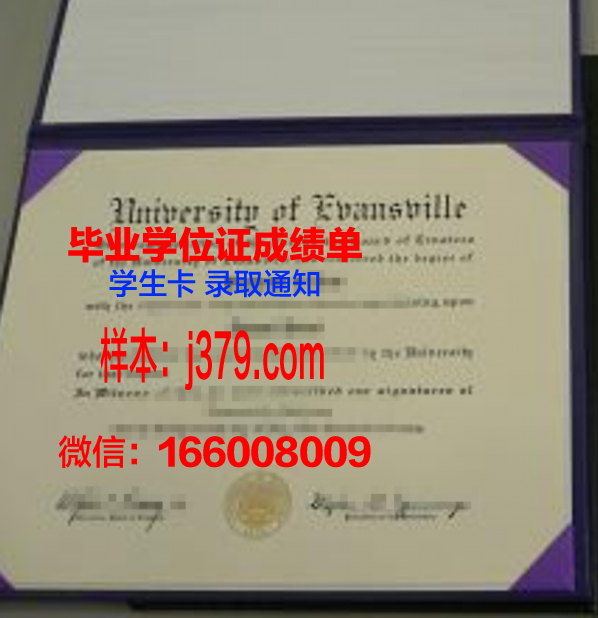 维纳斯成绩单：探索艺术与人生的完美结合