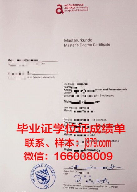 维斯马应用技术大学硕士毕业证(德国维斯马应用技术大学)