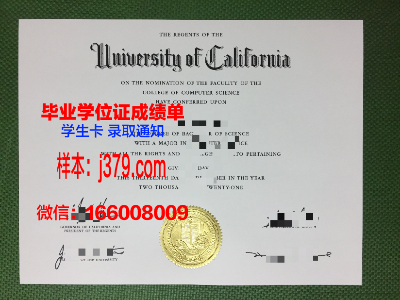 维斯瓦学院毕业证电子版(维斯瓦学院毕业证电子版查询)