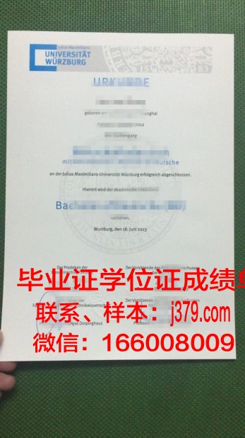 维尔茨堡大学毕业证(维尔茨堡大学医学博士)