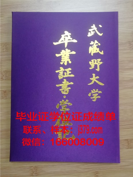 经济与人文国际大学毕业证壳子(经济人文专业)