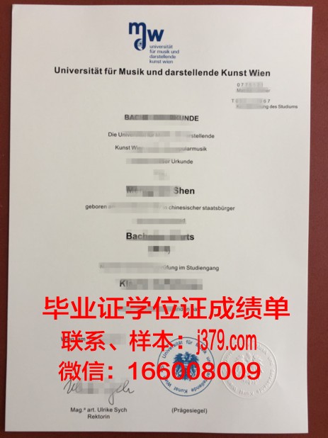 维也纳科技大学毕业证书图片高清(维也纳学院落榜生)