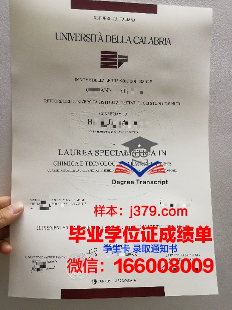 雷焦卡拉布里亚美术学院硕士毕业证书样本