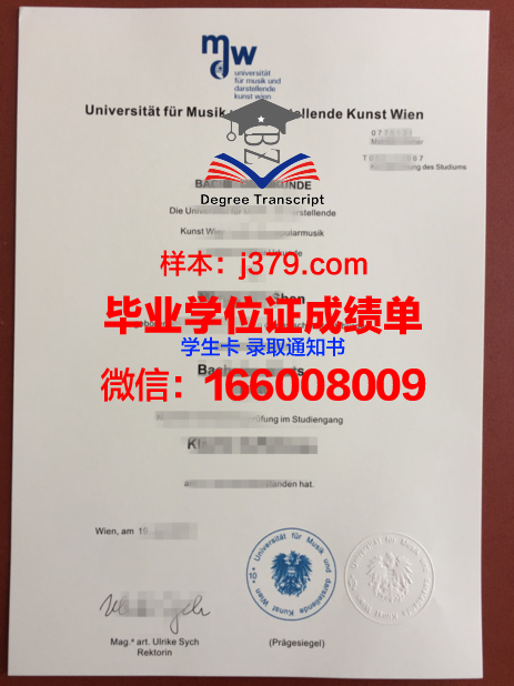 维也纳造型艺术学院博士毕业证(维也纳艺术学院的落榜生)