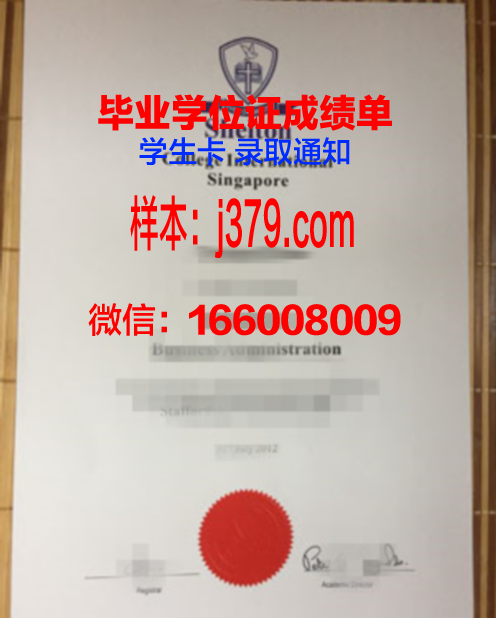维莱尔国际商学院毕业证书图片高清(法国维莱尔国际商学院报名)