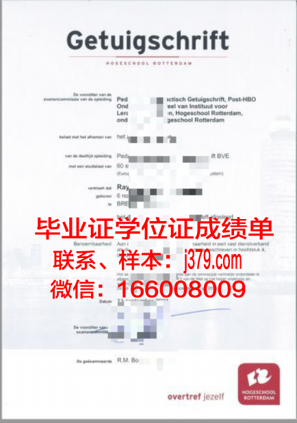 维莱尔国际商学院毕业证书图片高清(法国维莱尔国际商学院报名)