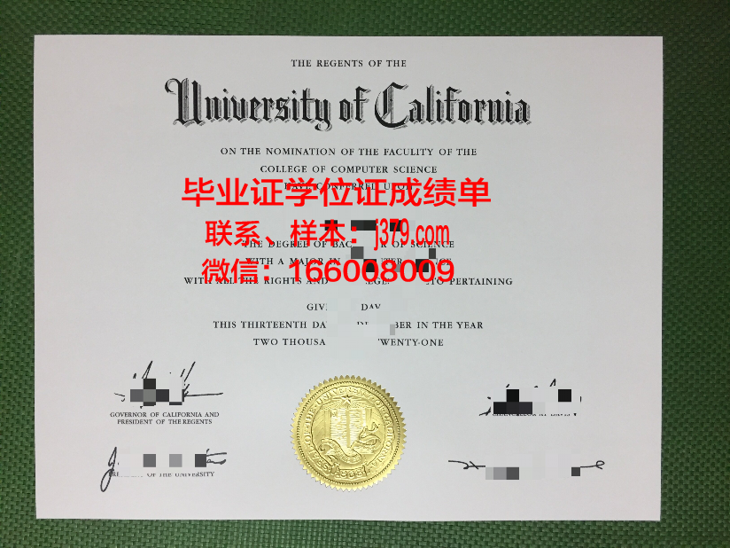 维大工硕士毕业证：一份承载荣誉与梦想的证书