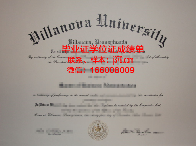 维拉朱丽学院学位成绩单定制：专业、精准、可靠