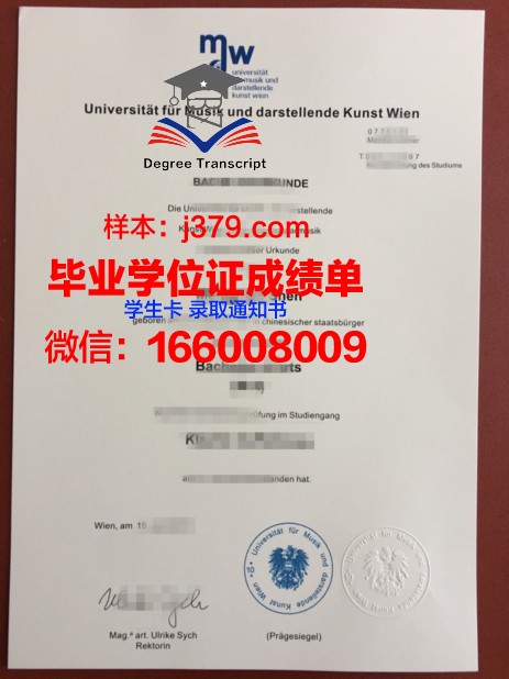 维也纳应用艺术大学拿不了毕业证(维也纳艺术学院扩招)