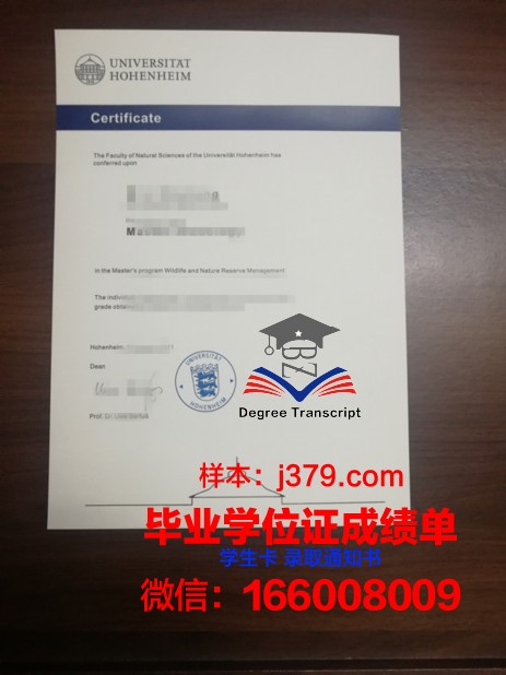 霍恩海姆大学毕业学位