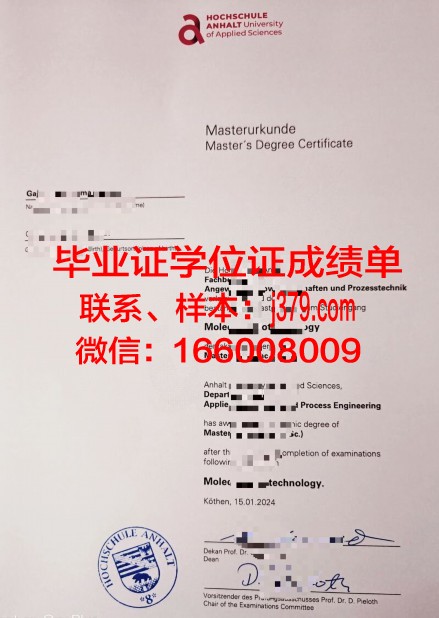 雷根斯堡应用技术大学毕业证书图片模板(雷根斯堡ds)