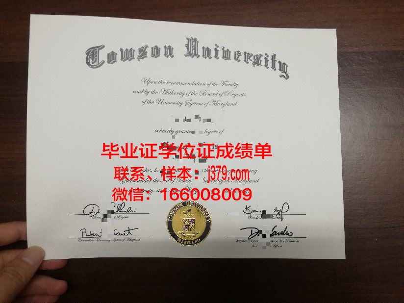 陶森大学毕业证模板 Towson University Diploma