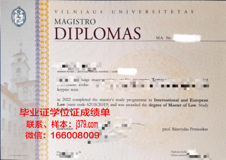 维尔纽斯格迪米纳斯技术大学毕业证：一张开启全球职业生涯的通行证