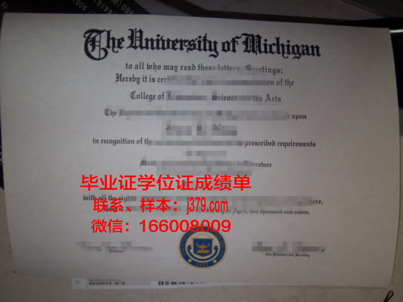 维博国际大学毕业证