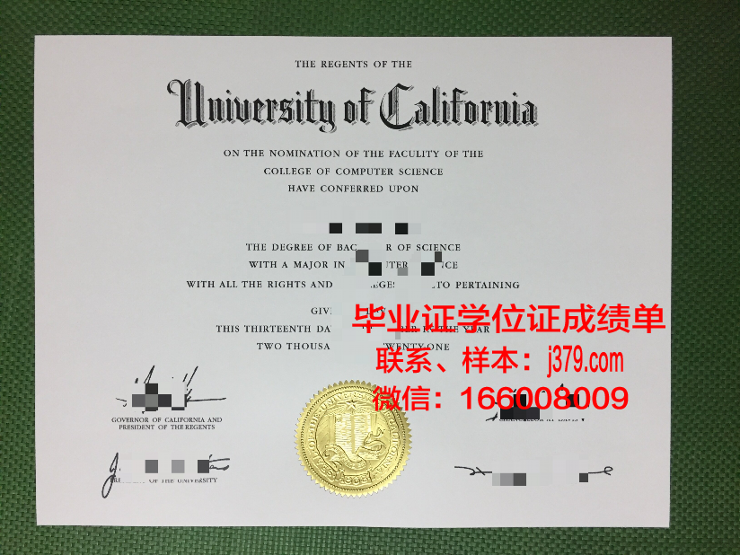 阿道夫·伊瓦涅斯大学毕业证真伪