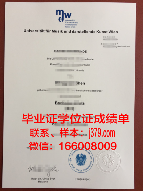 维也纳造型艺术学院几年可以毕业证(维也纳艺术学院的落榜生)