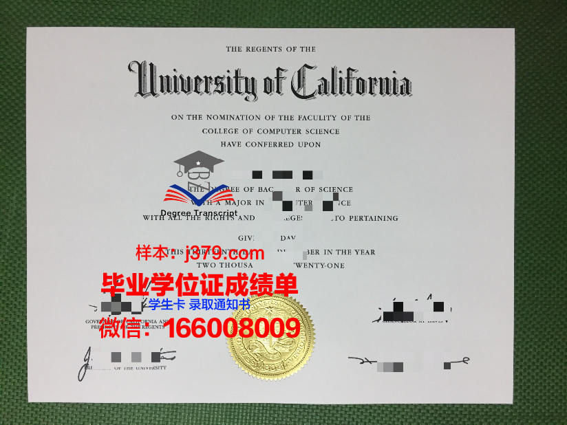 阿迪格国立大学毕业证模板