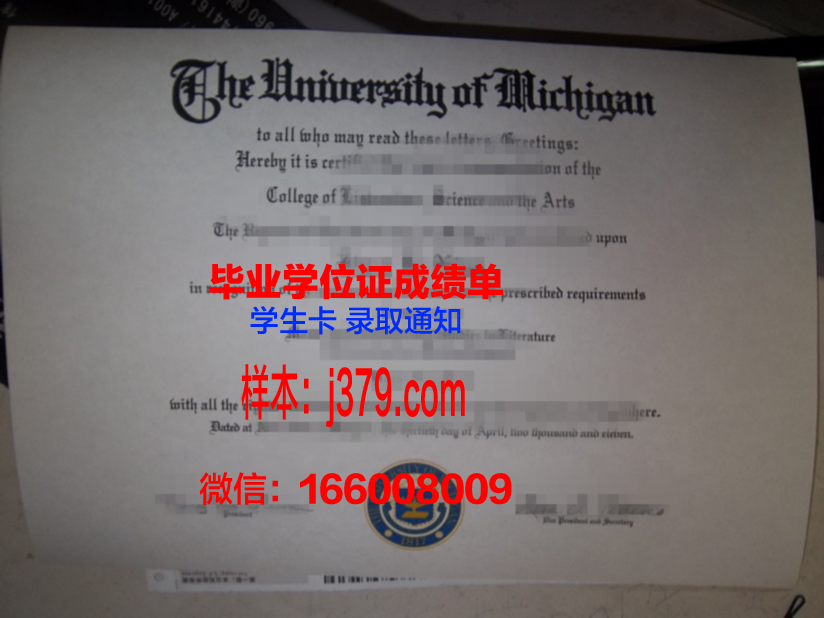 维戈大学毕业证：一份通往未来的钥匙