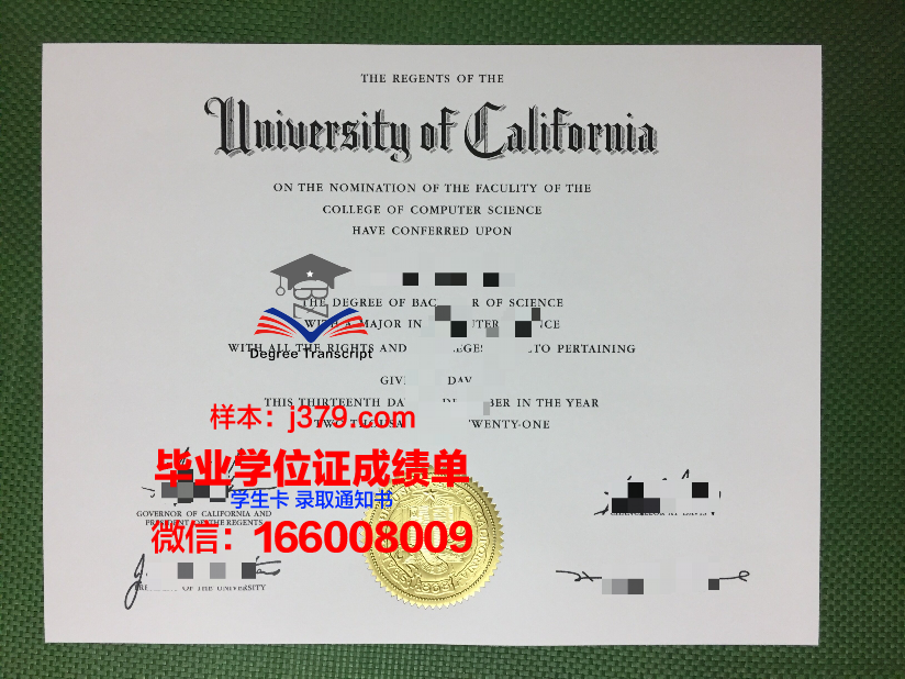 雅尔穆克大学硕士毕业证：跨越国界的学术成就