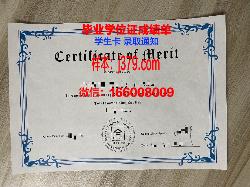 维斯瓦学院毕业证书图片模板(维斯瓦大学)
