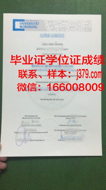 维尔茨堡大学毕业证模板(维尔茨堡大学收学费吗)